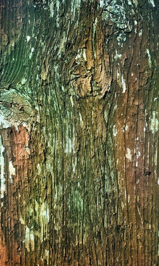 怀旧木板背景底纹