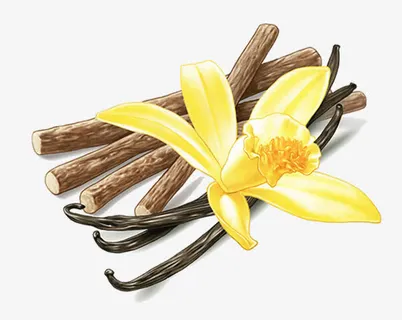 卡通桂花树枝免抠