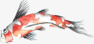 水墨海洋生物锦鲤图免抠