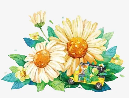 国潮多支菊花中国风装饰元素免抠