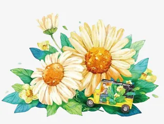 国潮多支菊花中国风装饰元素免抠