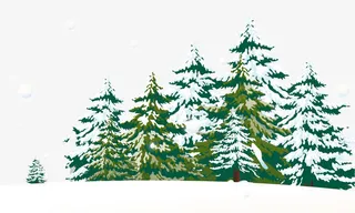 圣诞雪松免抠