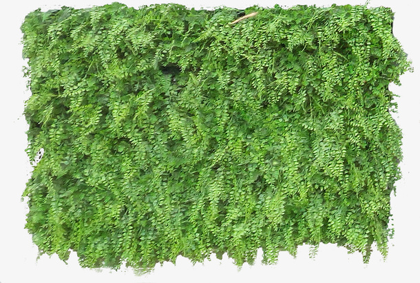仿真绿植草皮免抠