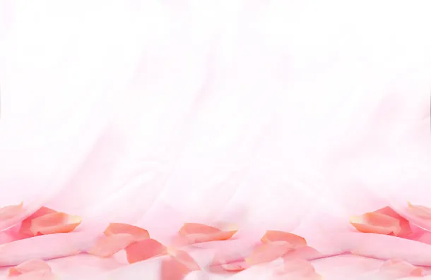红色花瓣丝绸背景矢量素材