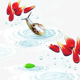 水中蜗牛玫瑰花瓣免抠