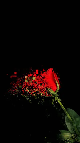 科技红玫瑰H5背景高清