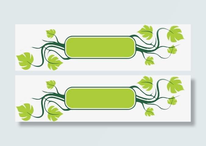 绿色藤蔓banner