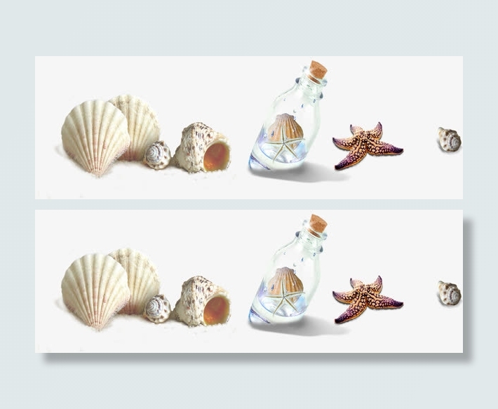 摄影海边沙滩贝壳漂流瓶免抠