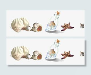 摄影海边沙滩贝壳漂流瓶免抠