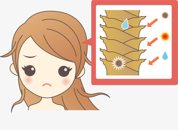 头发受损女生免抠