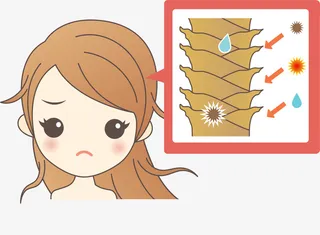 头发受损女生免抠