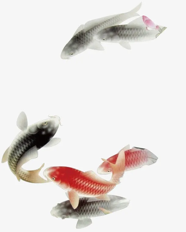 年年有余免抠
