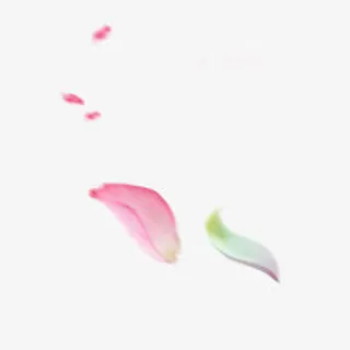 漂浮花瓣气泡简洁大方树叶树丛免抠