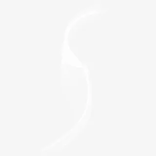 薄纱png图片免抠