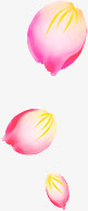 花瓣漂浮免抠