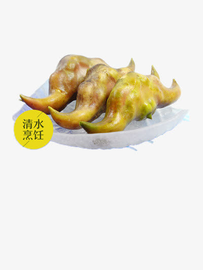 水菱角免抠