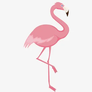 粉色丹顶鹤免抠