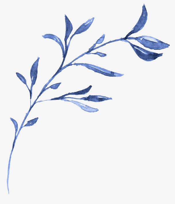 一根枝条免抠