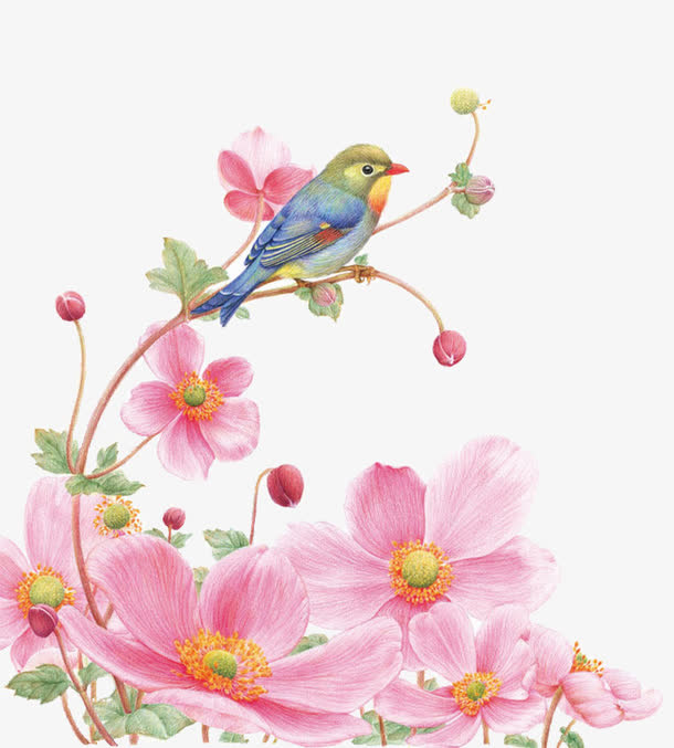 鲜花免抠