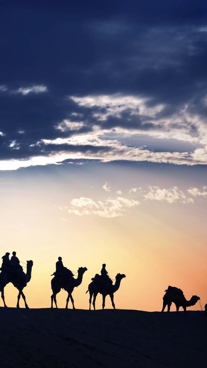 夕阳沙漠骆驼剪影H5背景高清