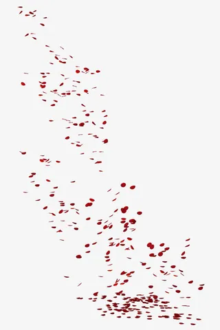 海报设计植物漂浮花瓣免抠