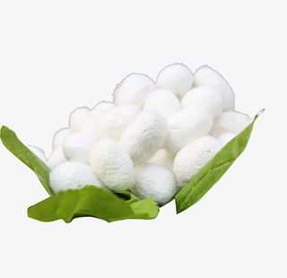 实物蚕丝球免抠