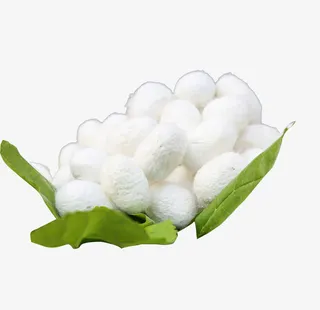 实物蚕丝球免抠