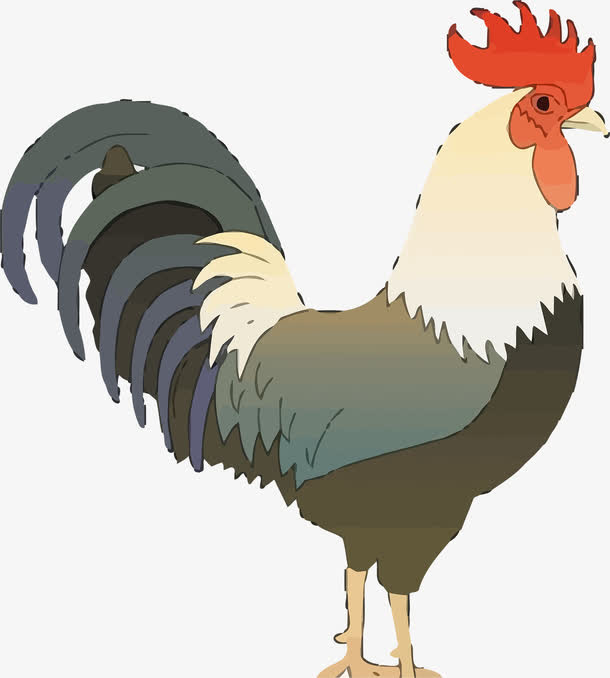 公鸡矢量免抠