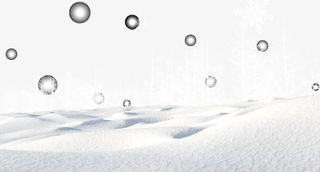 雪地上的树木免抠