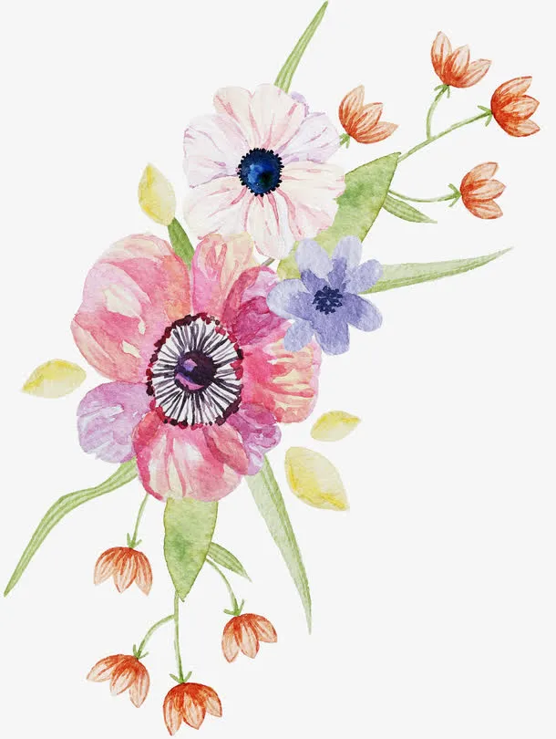 七夕情人节植物花朵免抠