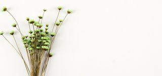 碎花一束花小花高清