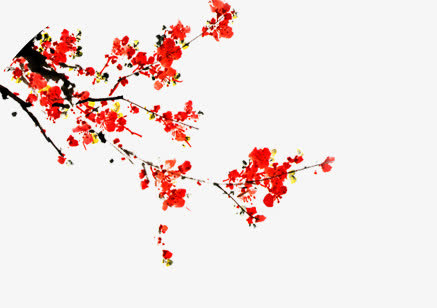 装饰素材免抠