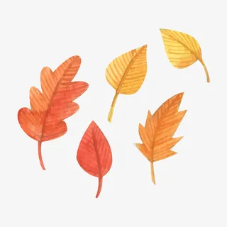 中国风水彩墨树叶免抠 中国风水彩墨树叶免抠