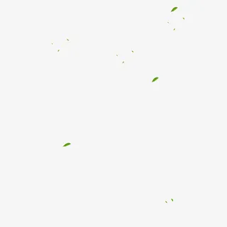 树叶 绿色 春天 装饰图案免抠