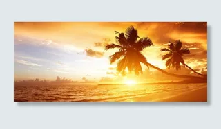 椰风海岛秋日风景背景高清