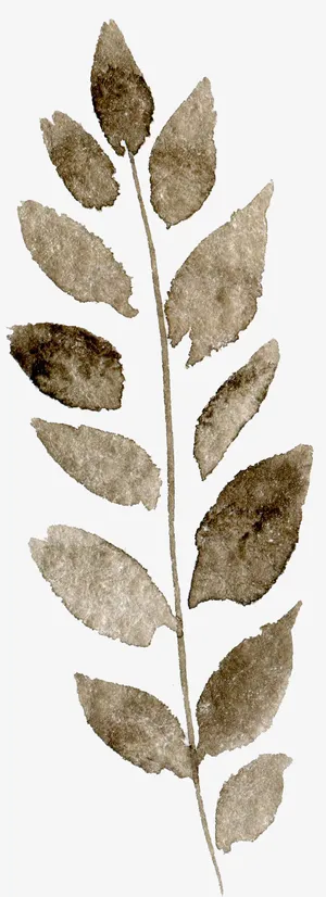 透明背景水彩花朵花卉植物素材