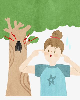 夏蝉的叫声免抠