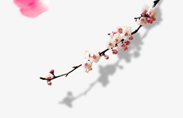 梅花花瓣装饰免抠