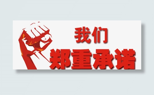 我们郑重承诺艺术字png格式免抠