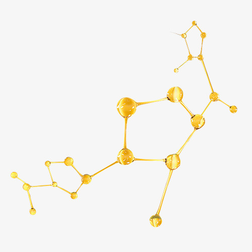 基因短链  分子 DNA 氨基酸免抠