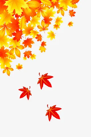 枫叶飘零免抠