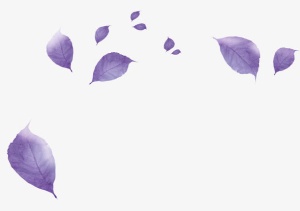 花瓣免抠