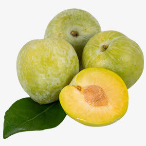 绿宝石李子免抠