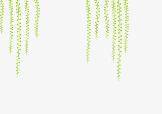 绿色清新海报装饰素材免抠