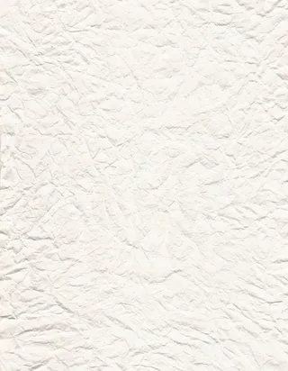 皮质花纹纹理图案免抠