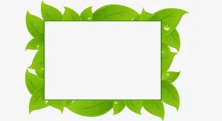 春天绿叶边框免抠素材免抠