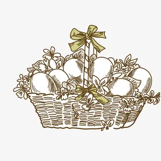 矢量手绘线描编制花篮免抠