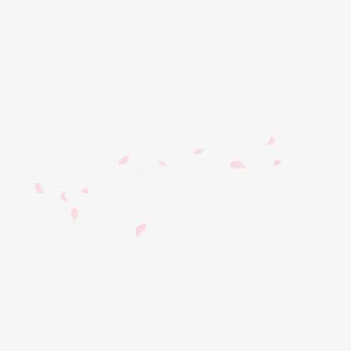 漂浮的花瓣免抠