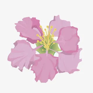 粉红色的花免抠