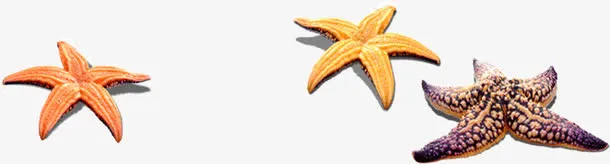 海星素材免抠免抠